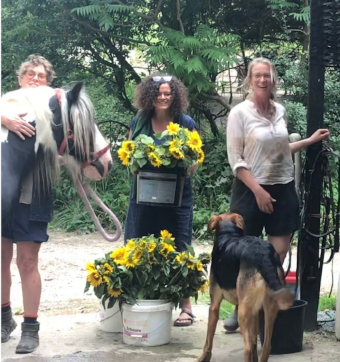 Ellie, Dorothy, Jude, pony and dog with sunflowers